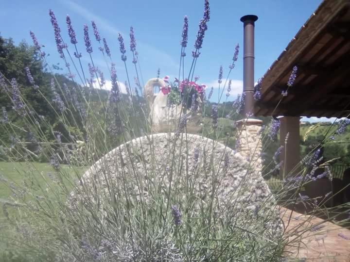 Agriturismo Isola Verde SantʼUrbano Exterior foto