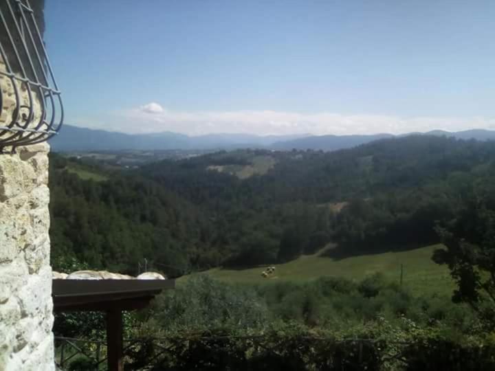 Agriturismo Isola Verde SantʼUrbano Exterior foto